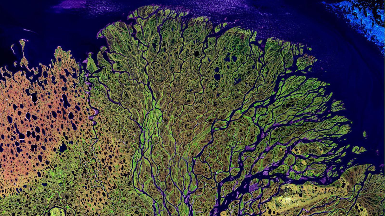 Pourquoi les rivières sont cruciales dans le cycle global du carbone