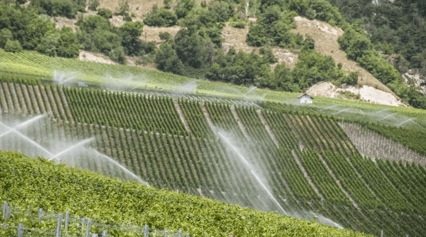L’irrigation, un enjeu crucial pour l’agriculture, mais également pour la gestion de l’eau !