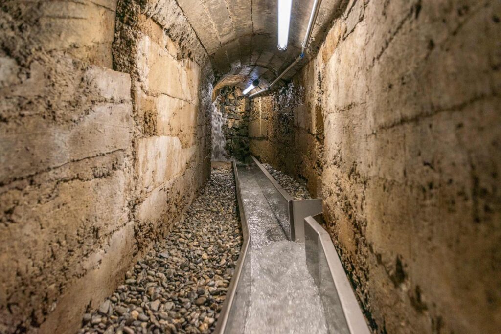 Comment Martigny a réduit de 90 % le recours à la chimie pour son eau potable