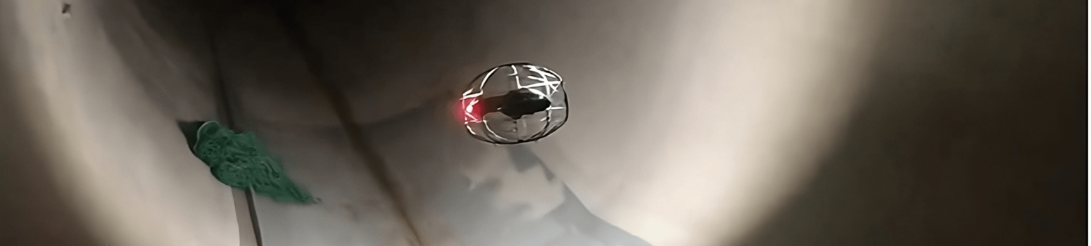 flybotix-transformed